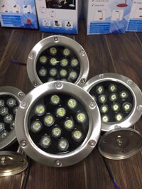 CHÍNH HÃNG Đèn LED âm nước 12W ,AC24V, INOX 304. Tiêu chuẩn IP 68. Dùng chiếu bể cá, hồ bơi - Ánh sáng trắng