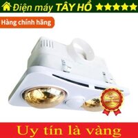 [CHÍNH HÃNG] Đèn sưởi nhà tắm 2 bóng Braun Kohn BK02GR (có điều khiển)