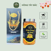 [CHÍNH HÃNG] Đông Trùng Hạ Thảo Huy Cương Lọ 50g ( Nuôi Cấy Tại Thành Phố Lai Châu )