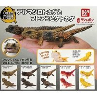 [Chính hãng] Gashapon/ Capsule toy Bandai - mô hình thằn lằn Armadillo và Bearded Dragon