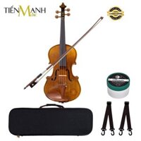 [Chính Hãng, Gỗ Thịt] Đàn Violin Amati Vân Thật VA111 (1969) Size 4/4 - Vĩ Cầm Violon
