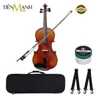 [Chính Hãng, Gỗ Thịt] Đàn Violin Amati Vân Thật VA111-A (1969) Size 4/4 - Vĩ Cầm VA111, VA111A Violon