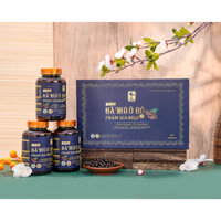 [CHÍNH HÃNG] Hà Thủ Ô Đỏ Phạm Gia Gold 3+ | PHIÊN BẢN CAO CẤP 2025 - tặng kèm set 3 hộp Trà thải độc Phạm Gia