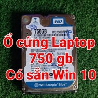 (Chính hãng - Hỏa tốc) Ổ cứng HDD 750gb 2.5" Sata 3 có sẵn Win 10