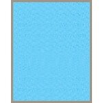 [Chính Hãng] Màng lọc bụi mịn cho Máy lọc không khí Coway Storm AP-1516D