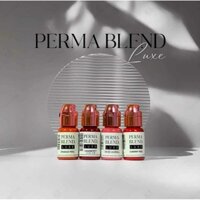 [CHÍNH HÃNG] MỰC PHUN XĂM PERMA BLEND LUXE
