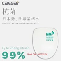 [CHÍNH HÃNG] Nắp Bàn Cầu CAESAR MU237, Nắp đóng êm, Sử dụng thích hợp với bồn cầu: CD1551