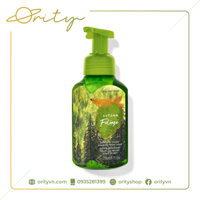 [Chính Hãng] Nước rửa tay dạng bọt Bath & Body Works Gentle & Clean Foaming Hand Soap - 259ml
