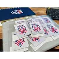 CHÍNH HÃNG - Patch AFF Suzuki Cup 2018