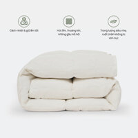 [Chính hãng] Ruột chăn Lông Vũ Everon siêu nhẹ, mền lông vũ ngỗng cao cấp