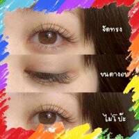 Chính Hãng 👁 Serum Mọc Lông Mi, Lông Mày Thái Lan 🇹🇭 Chính Hãng Bùi Thế Bảo