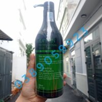 Chính hãng] [Siêu rẻ]Dầu xả hoàn hình Kafen  800ml