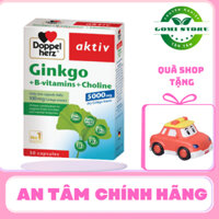 [CHÍNH HÃNG] Thực phẩm bảo vệ sức khỏe Ginkgo + Vitamin B + Choline Hộp 30 viên