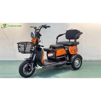 [Chính Hãng] Xe điện 3 bánh dành cho người khuyết tật SUPER ONE VTS6