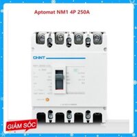 [CHÍNH HÃNG]Aptomat MCCB 4P 100A, 125A, 160A 250A CHINT NM1-250S/4300