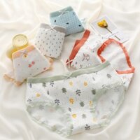 CHip tam giác size đại cho bé gái combo 5 quần lót cho nữ sinh từ 30 đến 50kg