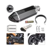 Chmotor Sợi Carbon Xe Máy Ống Hút Hút 250cc 350cc 600cc Thoát Moto Ống Cho Nmax Tmax530 Msx125 GSR600