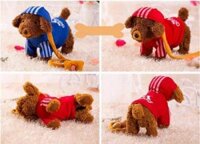 Chó biết nhảy biết hát 52 bài