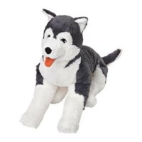 Chó bông Husky 57cm  LIVLIG IKEA.