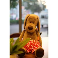 Chó bông quần đỏ