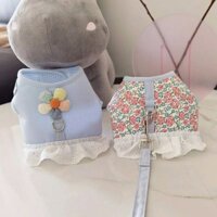 Chó Con Dây Xích Chó Con Người Ảnh Hưởng Mèo Con Mèo Con Dây Bông Trà Chó Chihuahua Chó Đi Bộ Mèo Dép Quần Áo