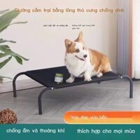 Chó. Giường thú cưng có thể tháo rời và giặt được. Giường cắm trại.