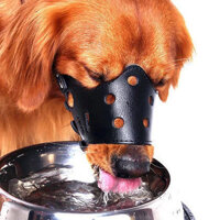 Chó Lớn Mõm Chó Mặt nạ Mõm Golden Retriever Vừa Chó Lớn Chống sủa Chó Mặt nạ đón chó Con Mõm Chó Chống Cắn