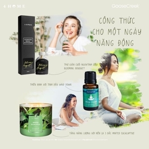 Cho Một Ngày (Tiểu Thuyết)