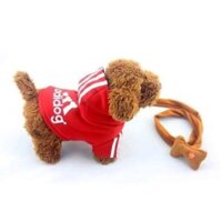 CHÓ NHỒI BÔNG BIẾT ĐI BIẾT HÁT TIẾNG VIỆT