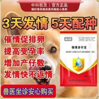Chó Thêm Tình Yêu Cho Bé Mèo Chó Thêm Bé Tăng Áp Bé Lợn Nữ Cám Dỗ Chăm Sóc Sức Khỏe Thúc Đẩy Mang Thai Thúc Đẩy Phân Tán Cảm Xúc Sinh Sản Bột Bé