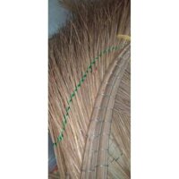Chổi cau, chổi xương quét sân