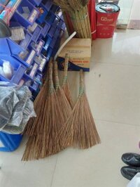 Chổi dừa
