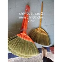 Chổi quét nhà siêu sạch bông cỏ 2 cây