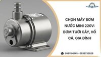 Chọn máy bơm nước mini 220V: Bơm tưới cây, hồ cá, gia đình