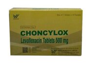 Choncylox (levofloxacin 500mg)