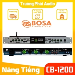 Chống hú Micro Feedback Bosa 5.0
