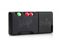 Chord Poly - Stream Module cho Chord Mojo