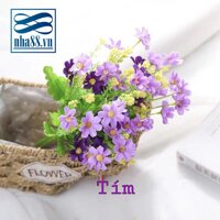 Chùm hoa cánh bướm 25-30 bông trên cành