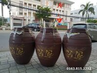 Chum sành không men ngâm rượu 20L