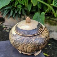 Chum Tài Lộc Gỗ Cẩm Thị 15x16cm (1,6kg)