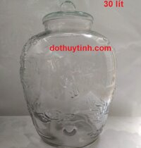 Chum thủy tinh ngâm rượu 30 lít