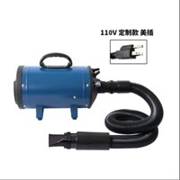 Chunzhou thú cưng động cơ đơn máy thổi nước máy sấy tóc chó chó mèo máy sấy tóc bông