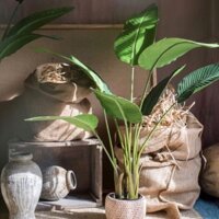 Chuối cảnh giả lá vải lụa cao cấp hàng loại 1 cực xịn giống thật 99%