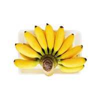 Chuối Cau - Areca Banana - ROOTS