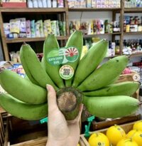 Chuối cau hữu cơ Kata Farm