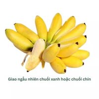 Chuối cau nhánh 900G (1 Nhánh)
