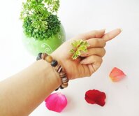 Chuỗi đá vỏ ốc hóa thạch nhỏ FS6306