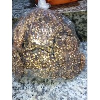 chuối hột miếng sấy khô để ngâm rượu 1kg