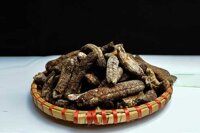 Chuối hột rừng bao nhiêu tiền 1kg ? Mua ở đâu uy tín