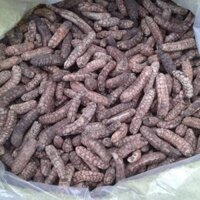 chuối hột rừng_ ngâm rượu